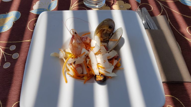 WhatsApp Image 2018 06 27 at 18.31.05 768x432